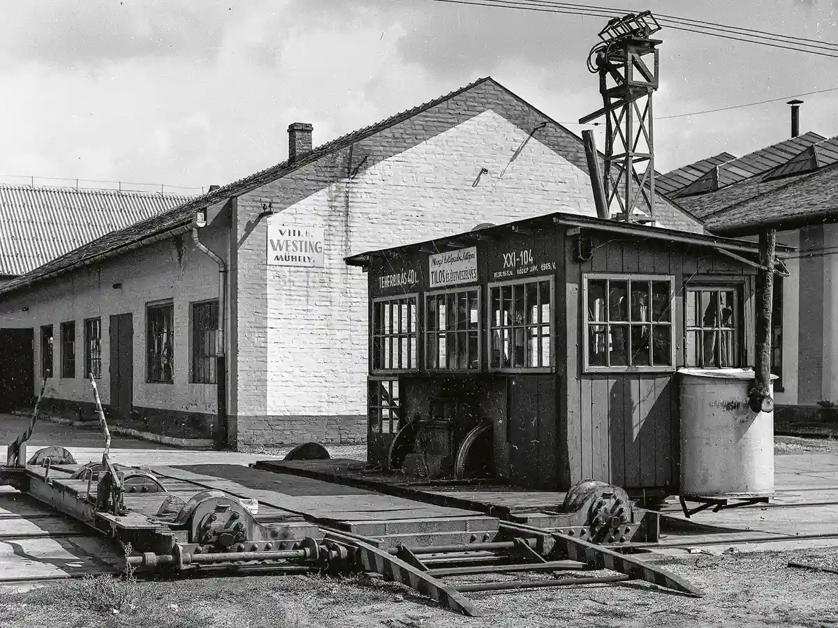 Tolópad az udvaron (1969)