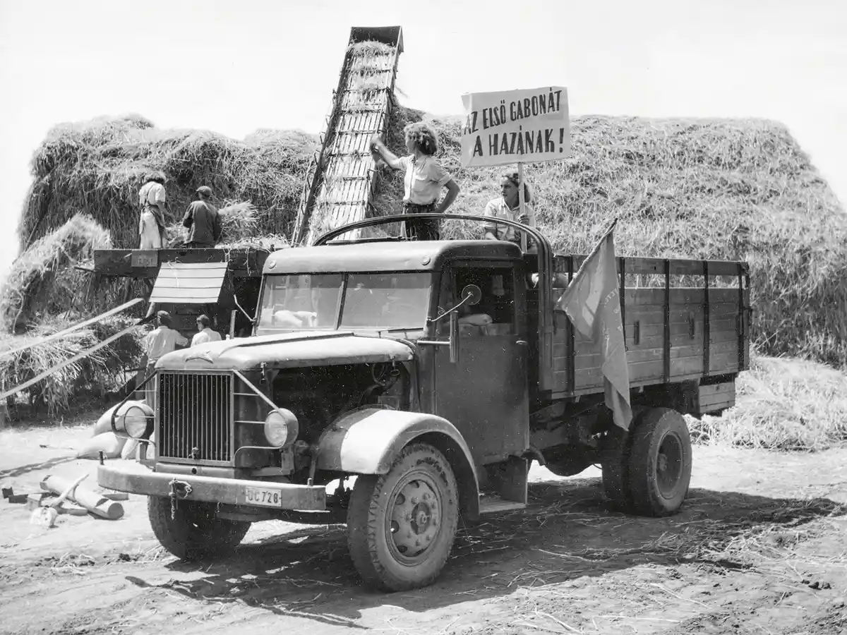 Csepel D-350 tehergépkocsi segédkezik az aratásnál (1953). Nyá­ron a motorsátor oldaláról a gépkocsivezetők általában eltávolították a lemezt, hogy javítsák a hűtést (fotó: Fortepan/Bereth Ferenc)