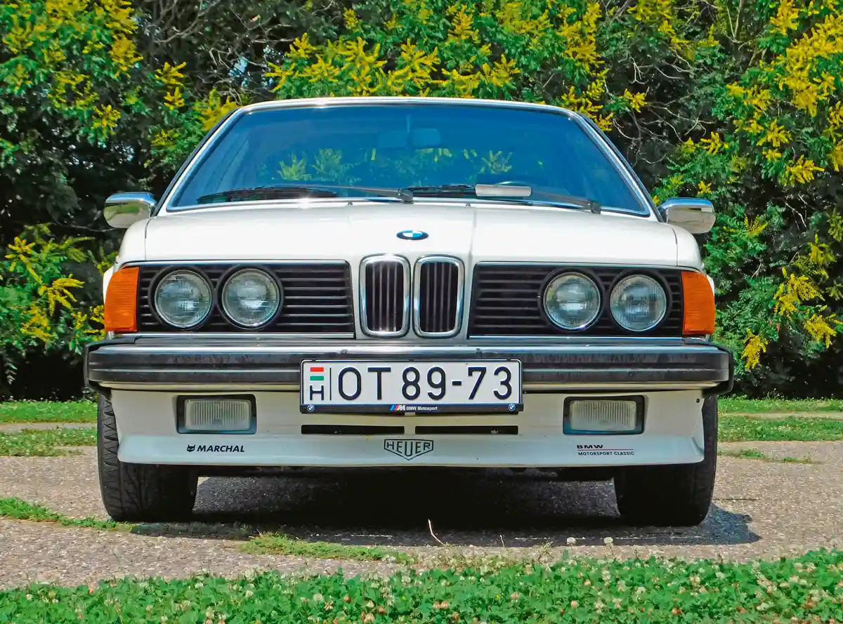 A ködlámpák a luxus L6-hoz és az M6-hoz alapáron jártak, itt extrák
